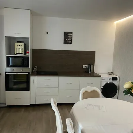 Bob & Pool * Kluż-Napoka