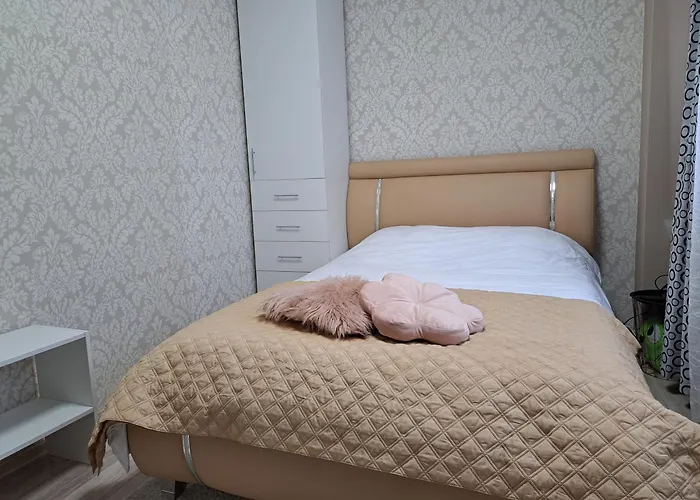 Bob & Pool * Cluj-Napoca