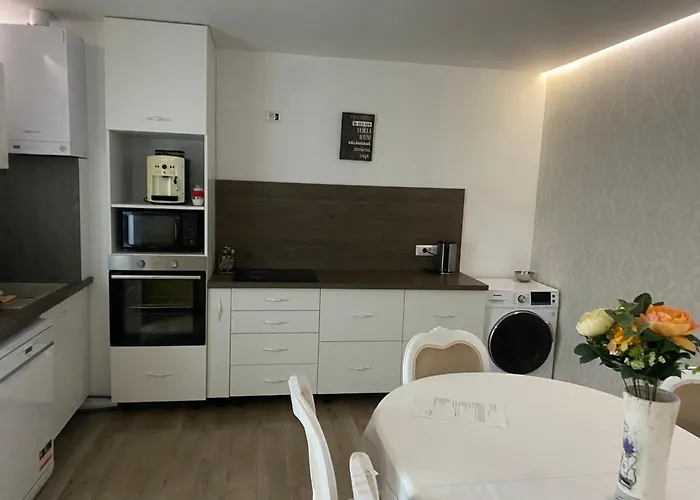 Bob & Pool * Cluj-Napoca